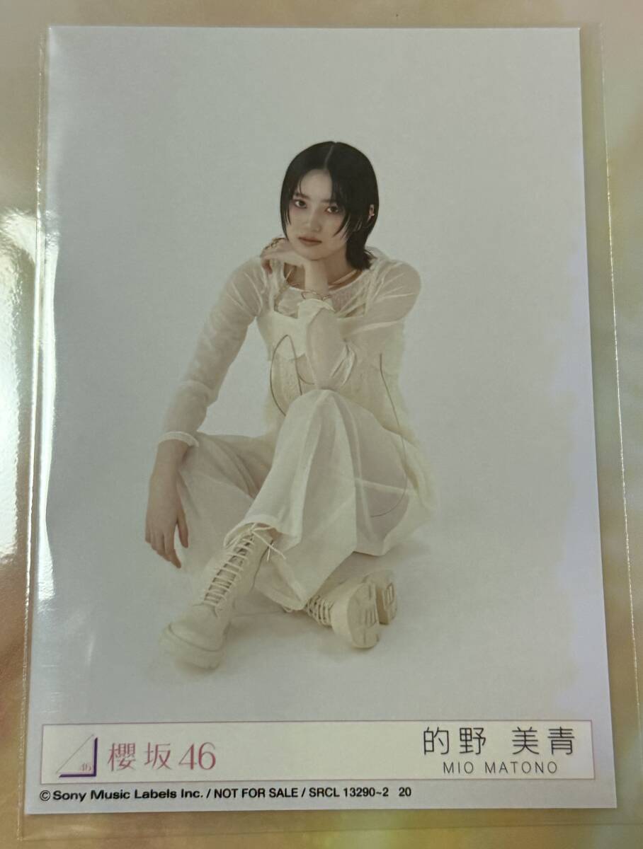 2025年最新】Yahoo!オークション -的野美青の中古品・新品・未