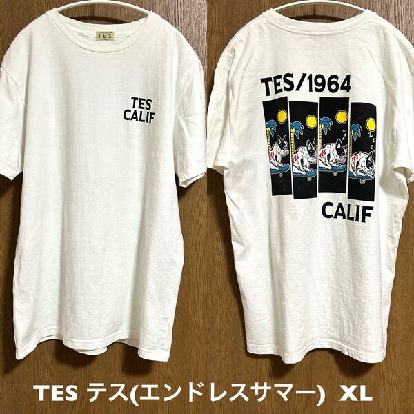 XLサイズ!日本製 TES テス(エンドレスサマー) 古着半袖Tシャツ 白 BUHITES/1964 CALIFサーフ サーフィンThe Endless Summer