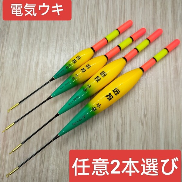 電気ウキ 任意2号選び 棒ウキ 2本セット 夜釣り ウキ釣り 超軽量 ウキ 遠投軽量化ウキ 高耐久ナノ素材