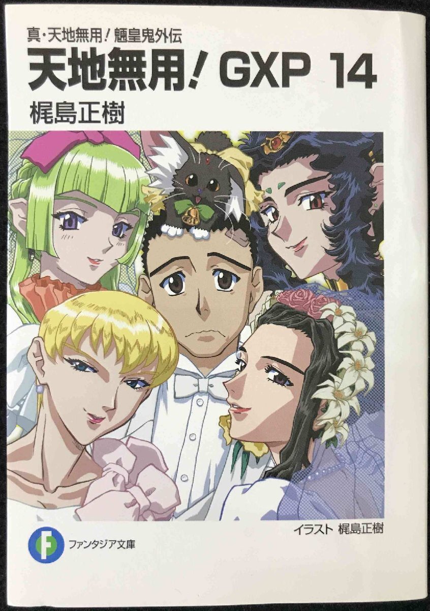 お祭り前日の夜 天地三期　 #6　天地無用 2025年最新】Yahoo!オークション -天地無用 魎皇鬼(同人誌)の