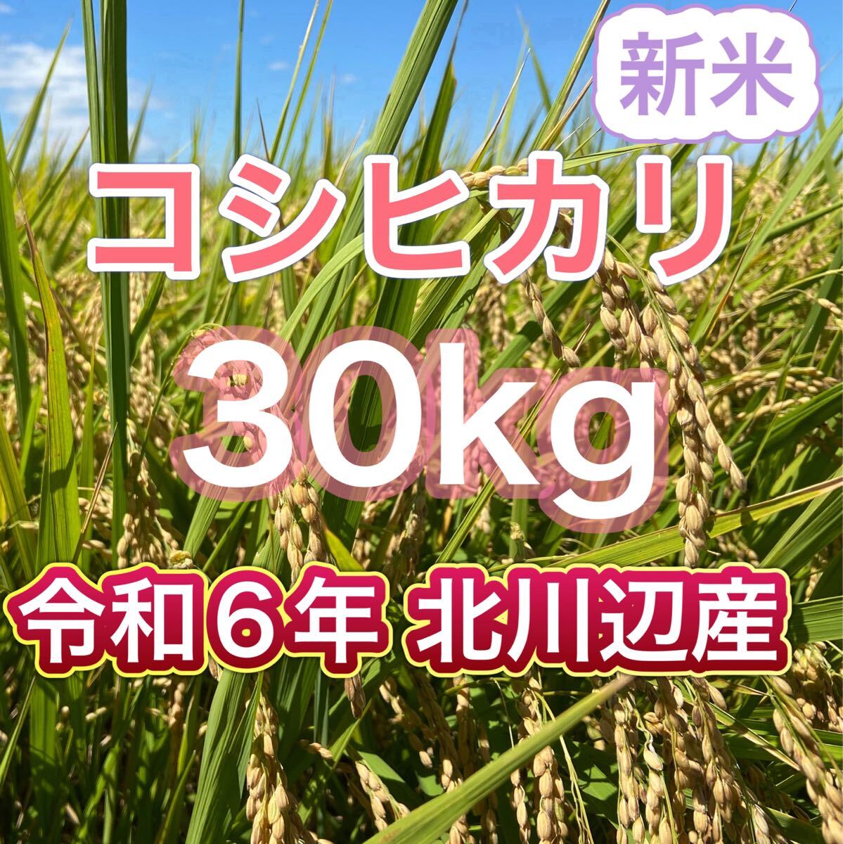 Yahoo!オークション -「コシヒカリ 30kg」の落札相場・落札価格 Yahoo!オークション -「コシヒカリ 30kg」の落札相場・落札価格