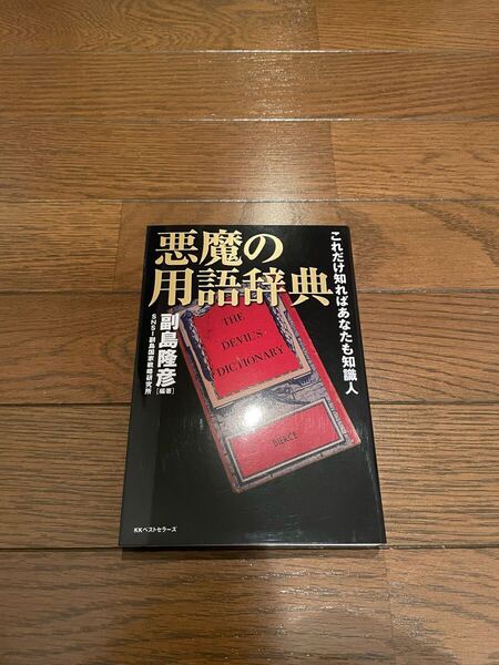 悪魔の用語辞典 副島隆彦 単行本