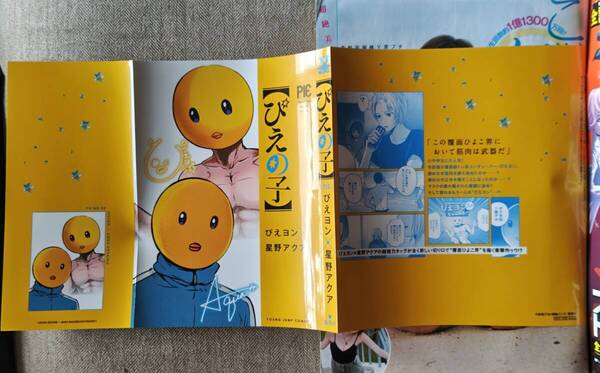 【推しの子】コミックスかけかえカバー 特別付録 【ぴえの子】 週刊ヤングジャンプ 2024年31号 ※送料無料※