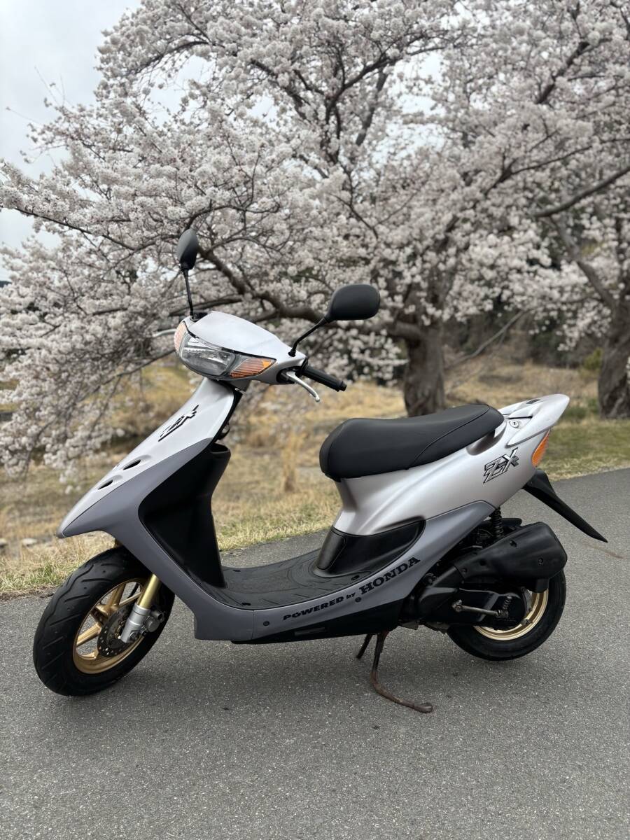 2025年最新】Yahoo!オークション -ライブディオ zx 車体 2025年最新】Yahoo!オークション -ライブディオ zx 車体