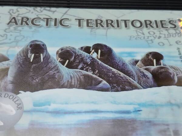 北極(Arctic Territories) 15 Dollars プラスティック製のファンタジー紙幣 2011年 未使用 セイウチ #A2447