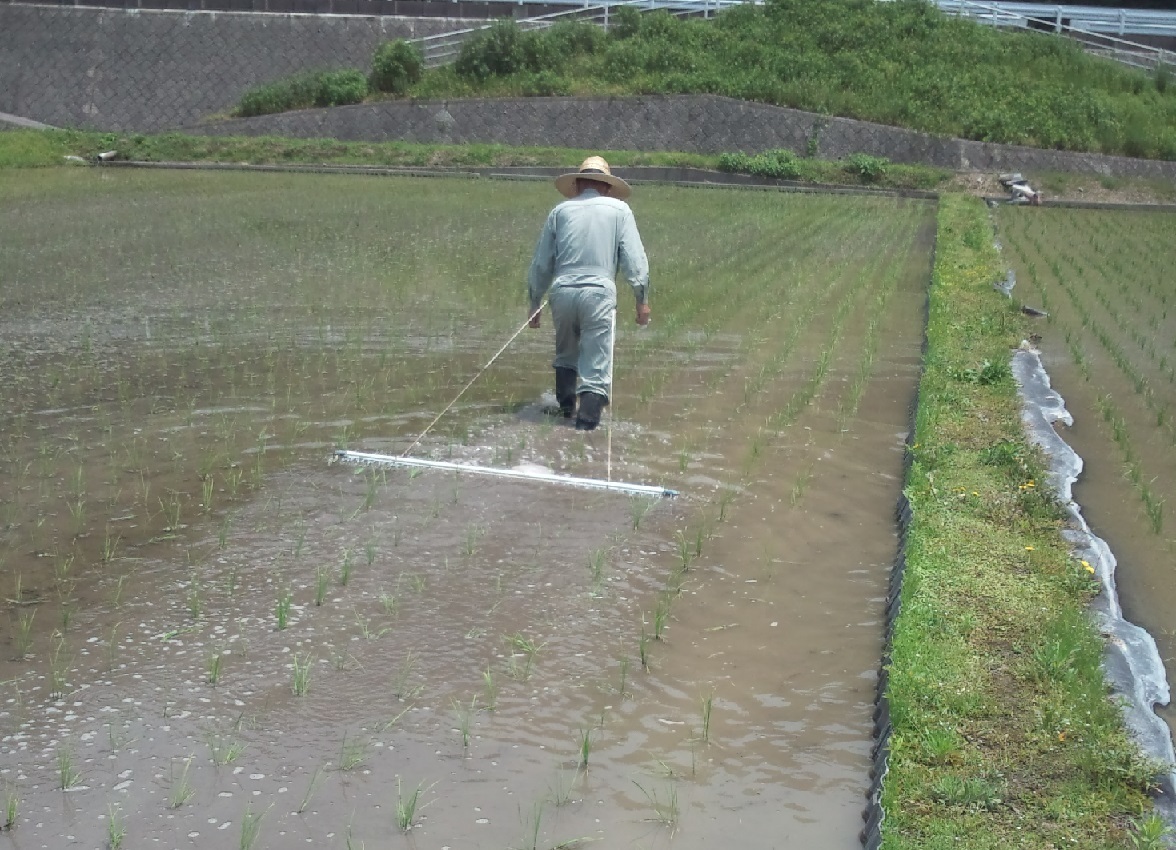 共立 中古 自走式水田除草機 PCE315 – 農キング