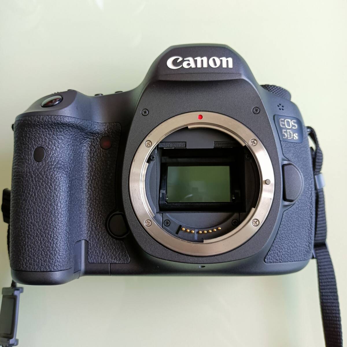 2025年最新】Yahoo!オークション -canon eos5dsの中古品・新品 2025年最新】Yahoo!オークション -canon eos5dsの中古品・新品