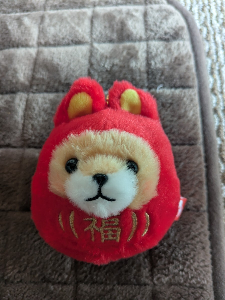 楽天市場】【ご予約 4月末入荷予定】 あみゅ まるたま豆しば三