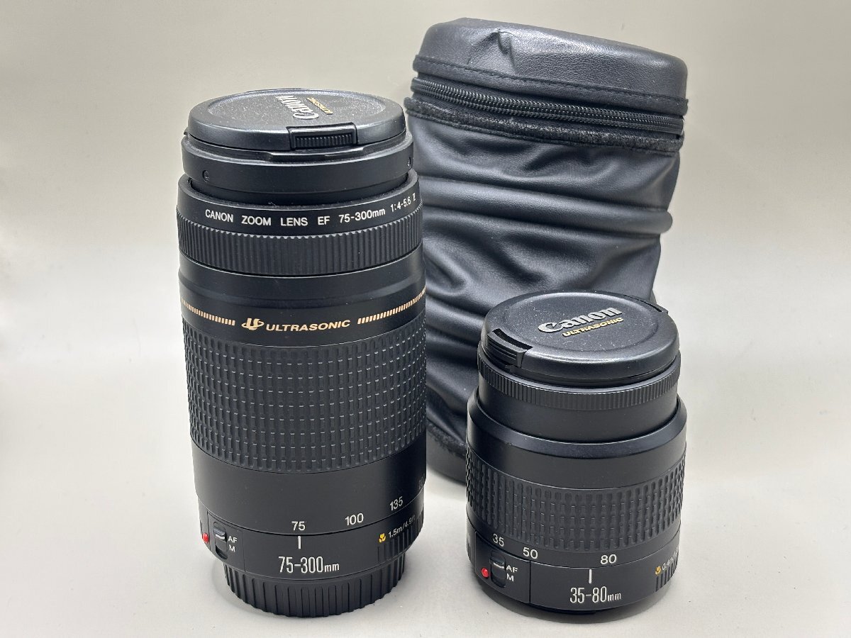 Yahoo!オークション -「ef 75-300mm f4-5.6 Ⅱ」の落札相場 Yahoo!オークション -「ef 75-300mm f4-5.6 Ⅱ」の落札相場