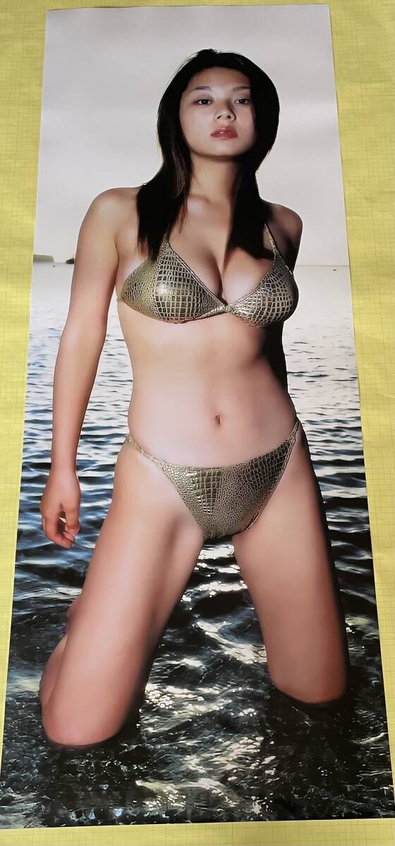 Yahoo!オークション -「小池栄子 等身大」(タレント) (ポスター Yahoo!オークション -「小池栄子 等身大」(タレント) (ポスター