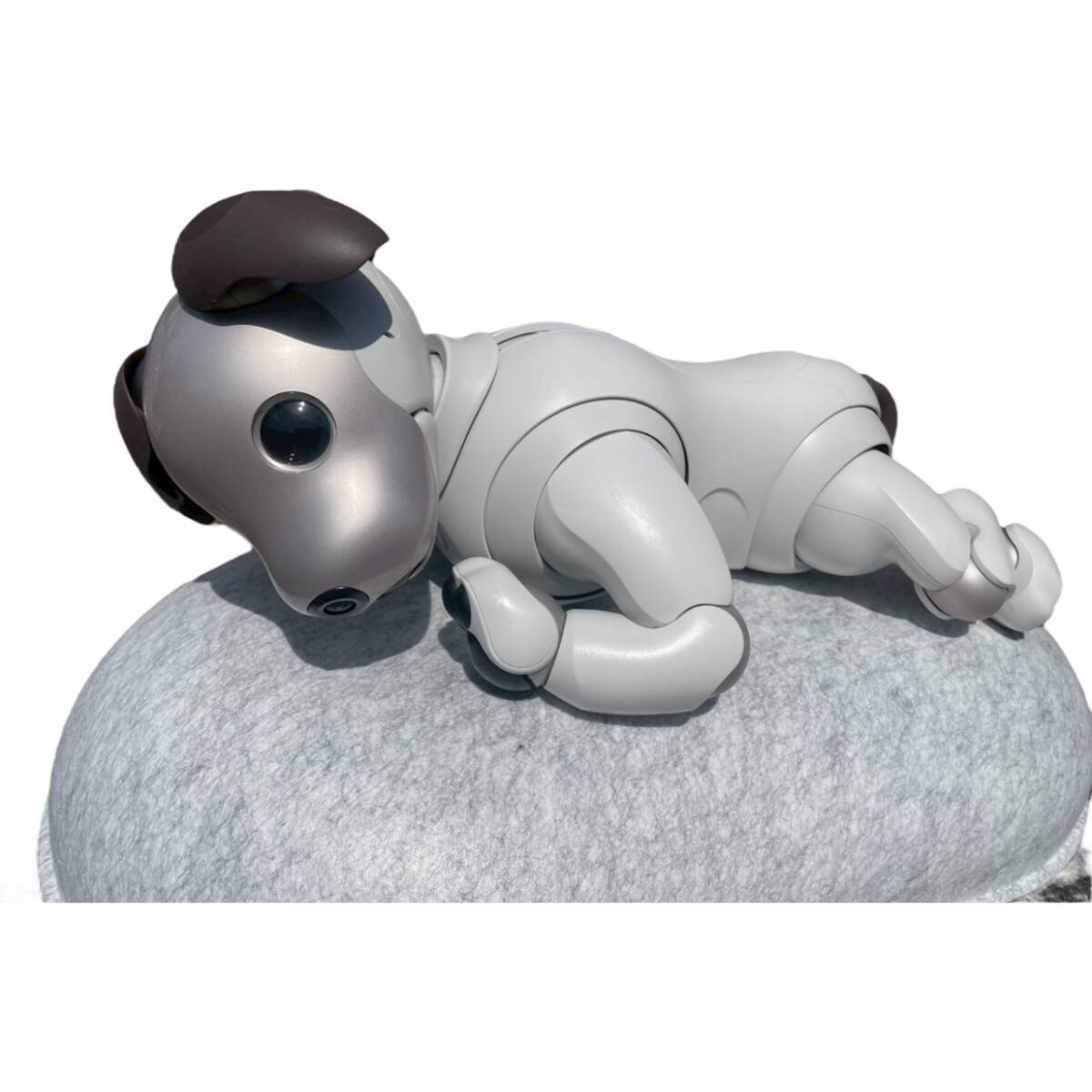 2025年最新】Yahoo!オークション -aibo ers-1000の中古品・新品 2025年最新】Yahoo!オークション -aibo ers-1000の中古品・新品