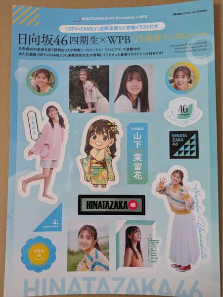週刊プレイボーイ 付録日向坂46 ランダムシールステッカー 山下葉留花 SPY x FAMILY 遠藤達哉先生寄稿イラスト付き