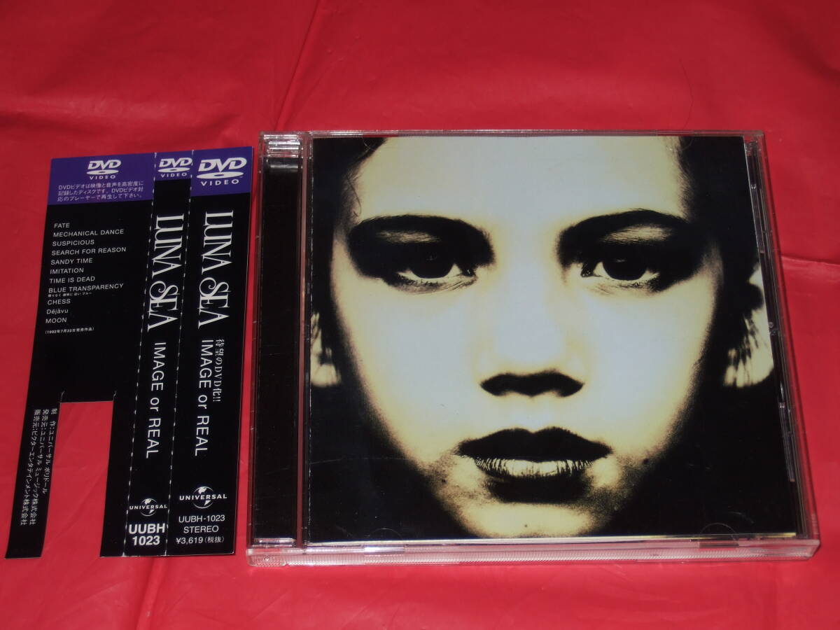 2025年最新】Yahoo!オークション -luna sea dvdの中古品・新品 2025年最新】Yahoo!オークション -luna sea dvdの中古品・新品