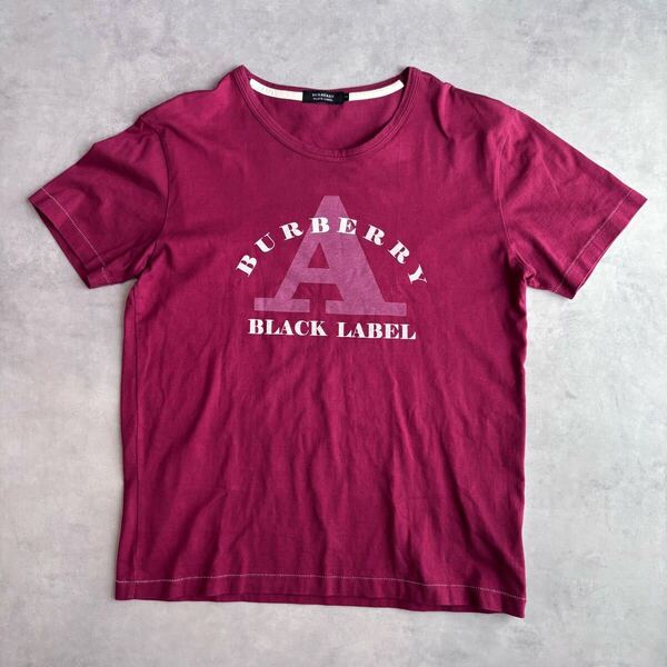 美品 BURBERRY BLACK LABEL バーバリーブラックレーベル Tシャツ トップス 半袖 半袖Tシャツ 2 M