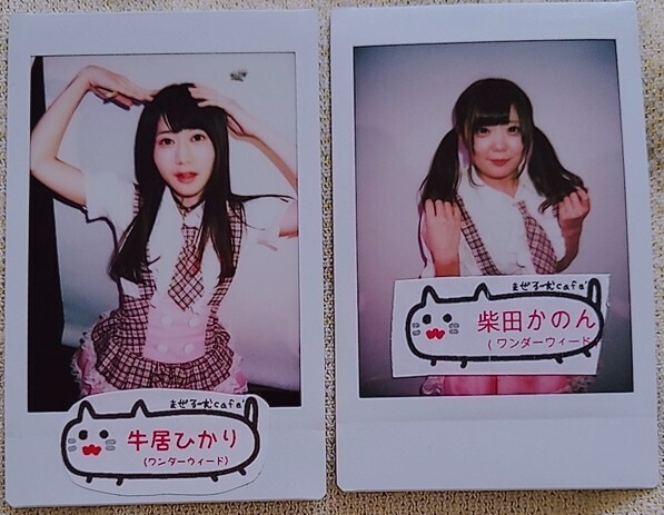 【送料無料】牛居ひかり 柴田かのん ワンダーウィード まぜるーむ チェキ アイドル 非売品 特典 貴重品 限定 入手困難 希少品