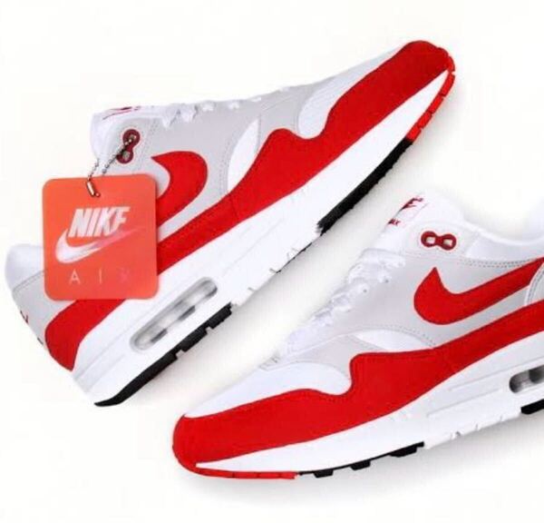 NIKE AIR MAX 1 ANNIVERSARY Red 2017 28.5cm ナイキ エア マックス アニバーサリー US10.5 908375-100