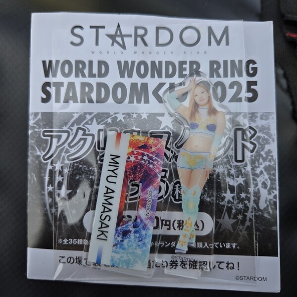 天咲 光由 アクリル スタンド アクスタ くじ スターダム 2025 ドン・キホーテ ドンキ アピタ ピアゴ 女子 プロレス グッズ acrylic stand A