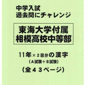 【特典付き】東海大学付属相模高等学校中等部(神奈川)11年分の過去問『漢字』