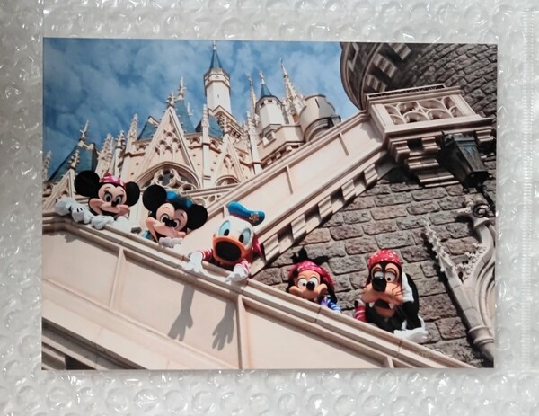 2L 写真 イマジニングザマジック ディズニー ミニー ミッキー ドナルド マックス グーフィー
