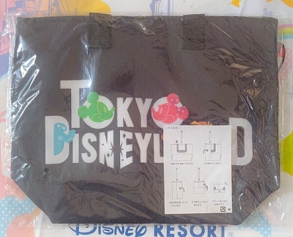 ディズニーランド スーベニア ランチケース 2020年 販売終了 簡易包装