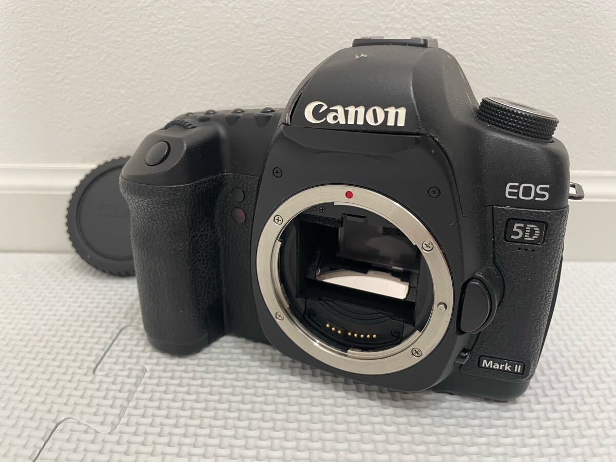 2025年最新】Yahoo!オークション -eos 5dの中古品・新品・未使用 2025年最新】Yahoo!オークション -eos 5dの中古品・新品・未使用