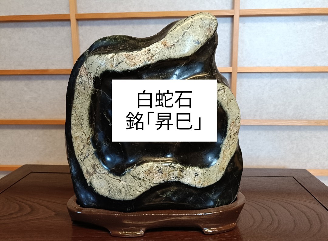新品 梨地母岩に美しい白小花 ☆ 菊花石 鑑賞石 盆石
