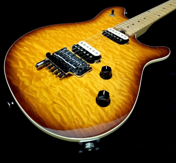 EVH Wolfgang Special 2010 Made In Japan