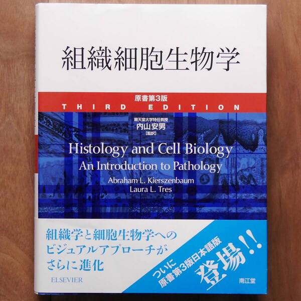 組織細胞生物学 原書第3版(内山安男 監訳)