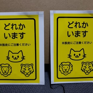 激安2枚セット│一部ダメージ有のため激安価格で投売り│どれかいます(ネコ、ライオン、トラ)│猫ステッカー│ねこ脱走注意│約11cm×7.5cm