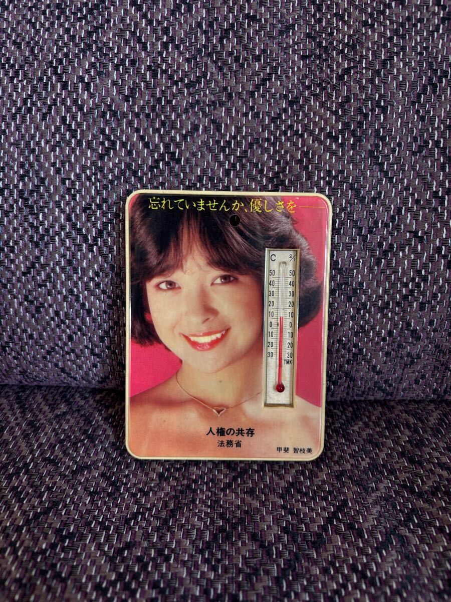 2025年最新】Yahoo!オークション -水銀温度計の中古品・新品・未
