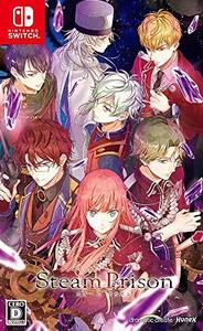 スチームプリズン - Switch(中古 未使用品) (shin