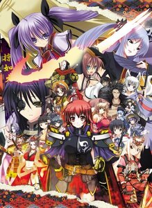 戦極姫 ~戦乱に舞う乙女達~(限定版) - PSP (shin