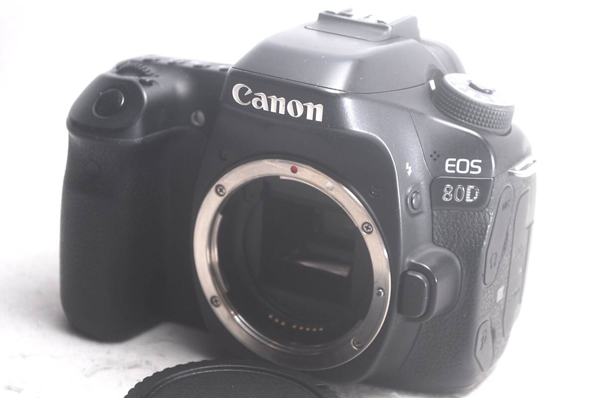 2025年最新】Yahoo!オークション -canon eos 80dの中古品・新品 2025年最新】Yahoo!オークション -canon eos 80dの中古品・新品