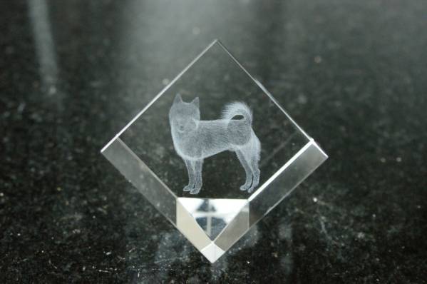 F★柴犬(犬)★3D LASER ART CRYSTAL レーザークリスタル★Y4