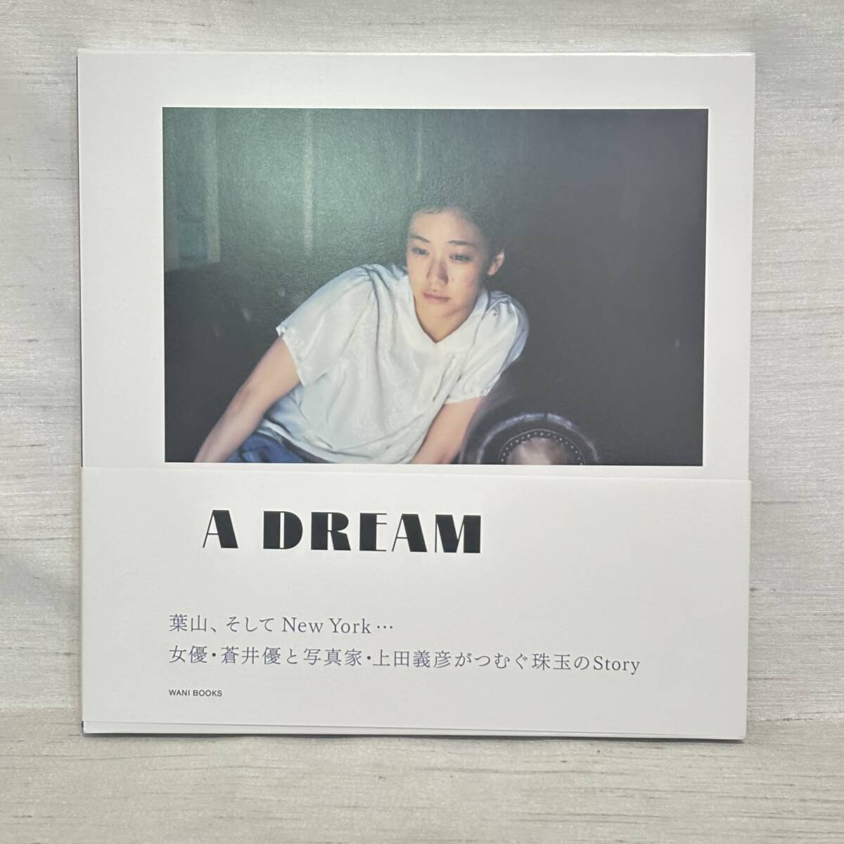 古書古本 dessin：上田義彦 Works 1985-1993（上田義彦）