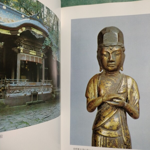 【送料無料】諏訪市の文化財 * 仏像 甲冑 諏訪大社 温泉寺 菩薩 不動明王 狛犬 雛人形 絵画 文書 出土品 建造物 スギ 図録 本 1980年