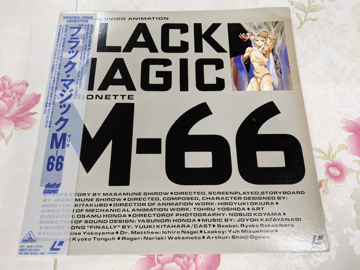 BLACKMAGIC M-66 LPレコード その他