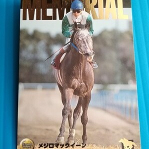 送料無料】 メジロマックイーン M-16 バンダイ ラジオたんぱ