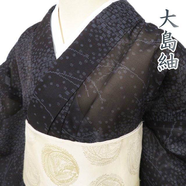 2025年最新】Yahoo!オークション -大島紬 着物 夏大島の中古品 2025年最新】Yahoo!オークション -大島紬 着物 夏大島の中古品