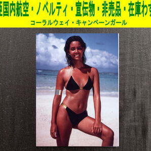 ジーナ・ナナ 沖縄キャンペーンガール 写真 水着 日本エアシステム ノベルティ 宣伝物 非売品 1980年代 2L-1
