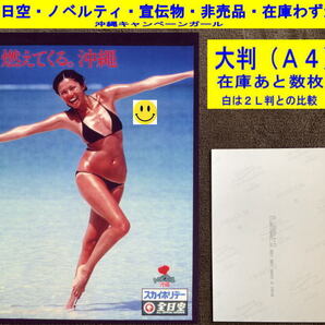 キャロー小宮 沖縄キャンペーンガール 写真 水着 全日空 ノベルティ 宣伝物 非売品 1980年代 大判-1