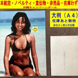 斉藤慶子 沖縄キャンペーンガール 写真 水着 日本航空 ノベルティ 宣伝物 非売品 1980年代 大判-1