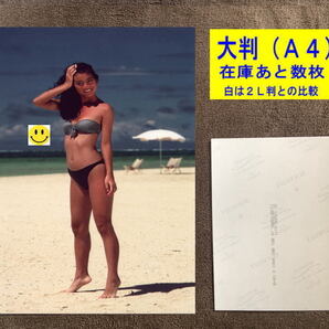 吉川十和子 沖縄キャンペーンガール 写真 水着 日本航空 ノベルティ 宣伝物 非売品 1980年代 大判-2