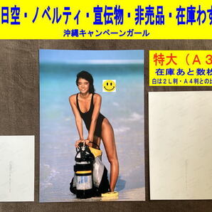 石田ゆり子 沖縄キャンペーンガール 写真 水着 全日空 ノベルティ 宣伝物 非売品 1980年代 特大-1