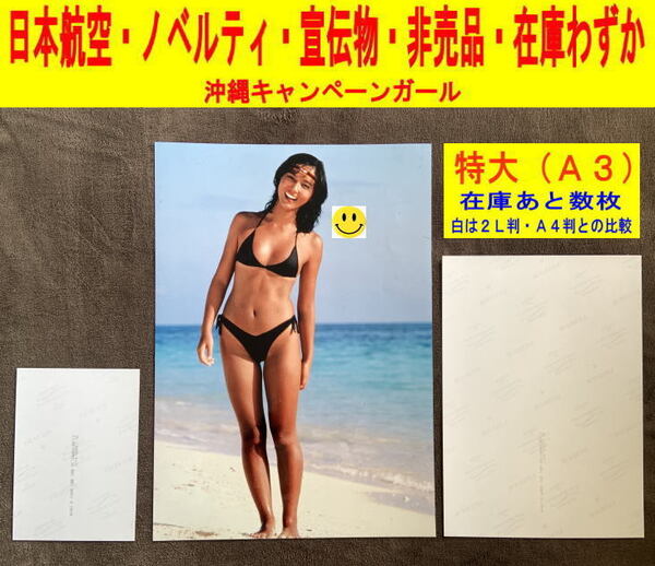 斉藤慶子 アイドル 写真 水着 日本航空 飛行機 ノベルティ 非売品 特大-1