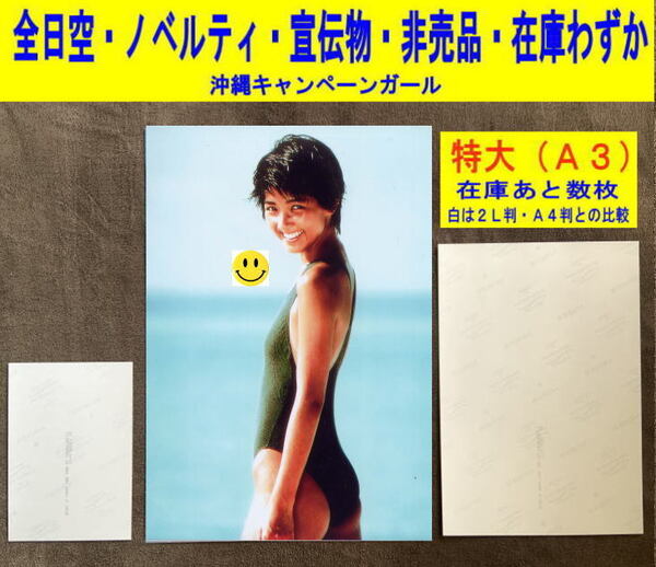 松本孝美 アイドル 写真 水着 全日空 飛行機 ノベルティ 非売品 特大-1