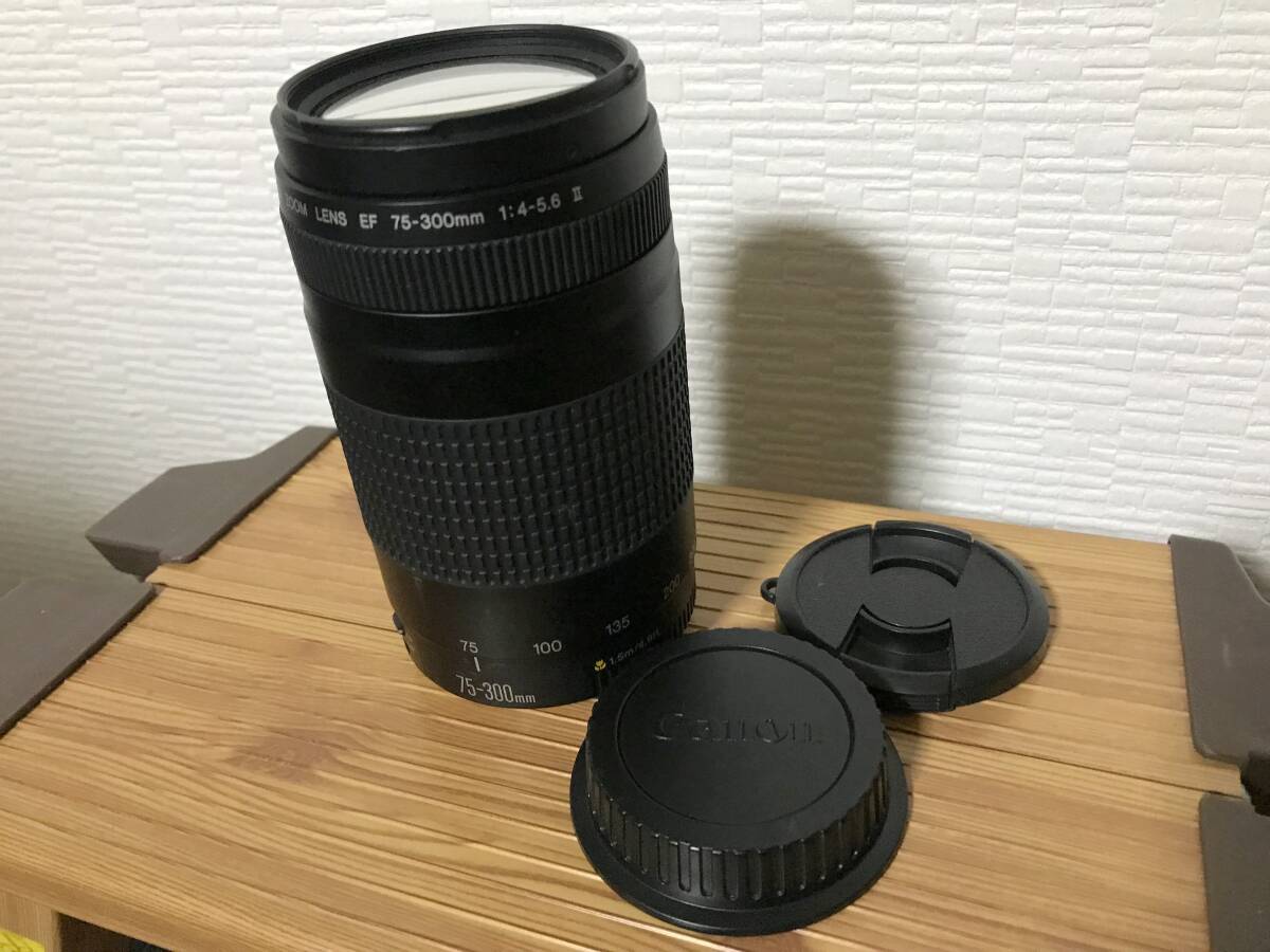 Yahoo!オークション -「ef 75-300mm f4-5.6 Ⅱ」の落札相場 Yahoo!オークション -「ef 75-300mm f4-5.6 Ⅱ」の落札相場