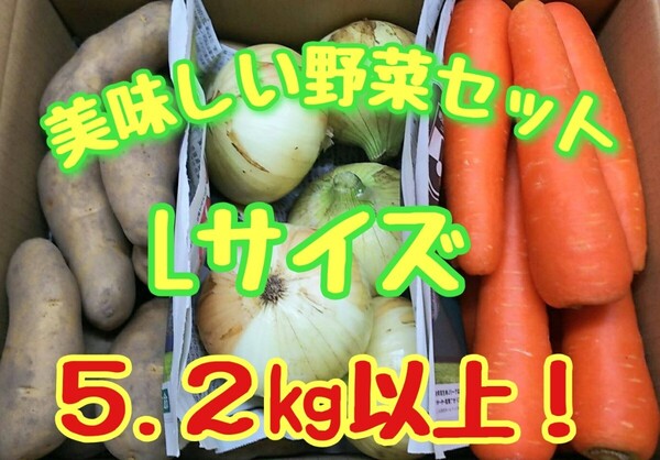 美味しい野菜セット!Lサイズ!5.2㎏以上!常備野菜!!