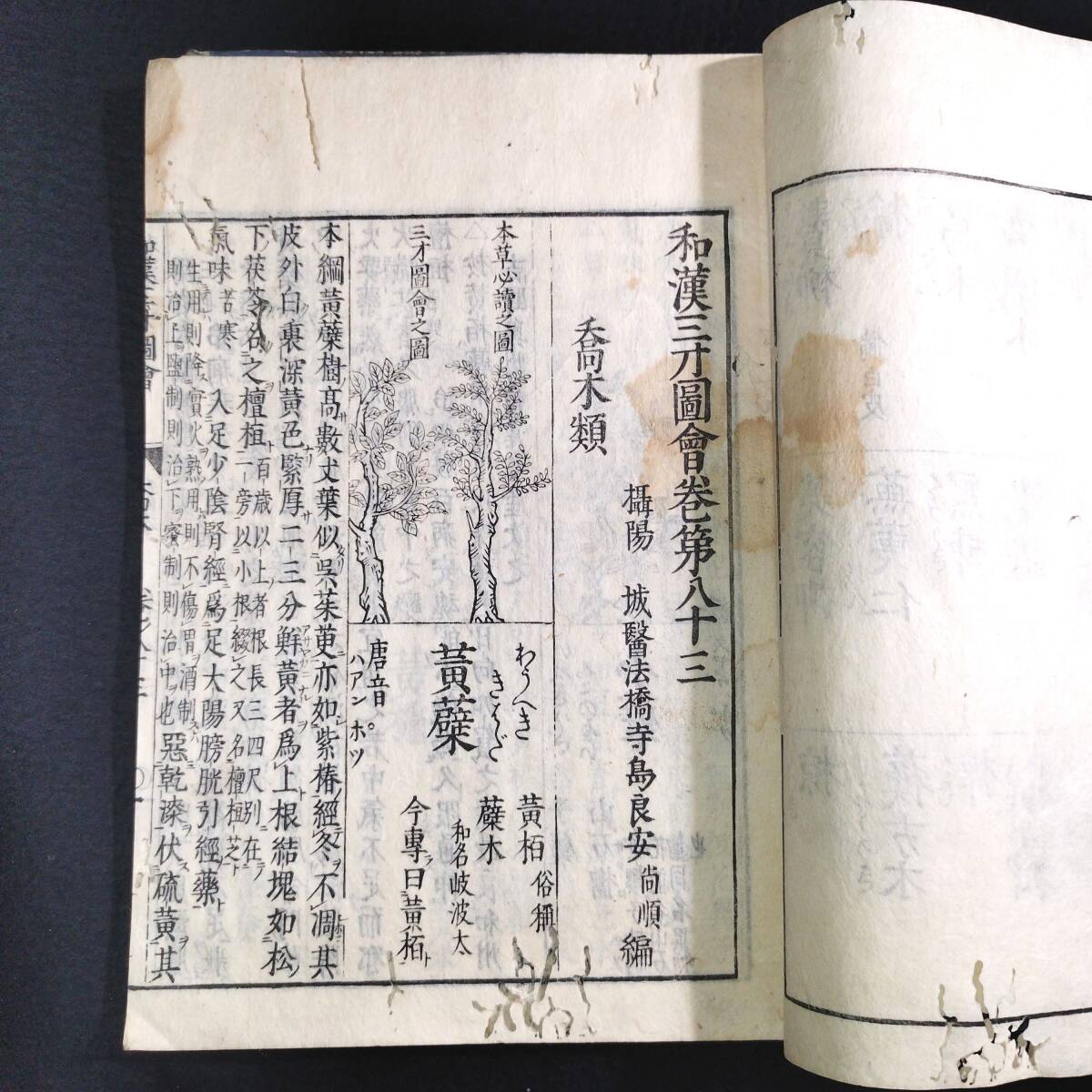 2025年最新】Yahoo!オークション -江戸時代 百科事典の中古品 2025年最新】Yahoo!オークション -江戸時代 百科事典の中古品