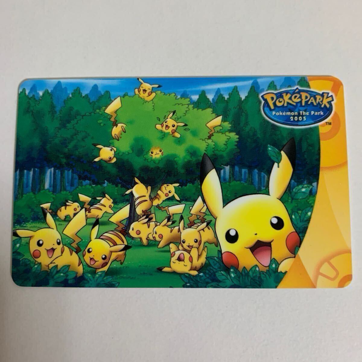 2025年最新】Yahoo!オークション -ポケパークのピカチュウの中古 2025年最新】Yahoo!オークション -ポケパークのピカチュウの中古